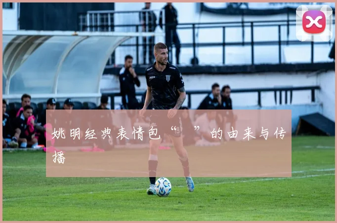 姚明经典表情包“囧”的由来与传播