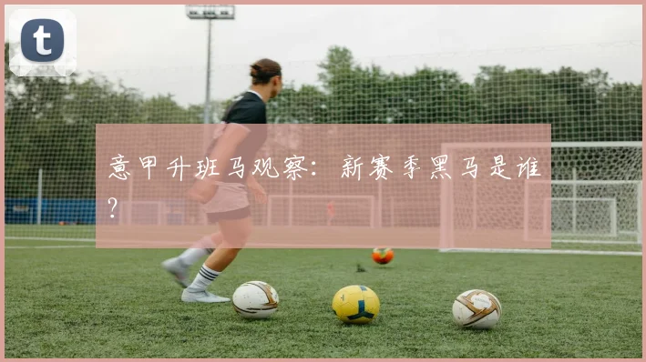 意甲升班马观察：新赛季黑马是谁？